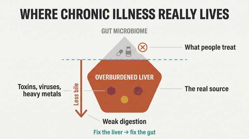 Iceberg diagram showing gut microbiome as the small visible tip people treat, while the overburdened liver sits as the massive hidden root cause below the waterline.
