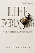 Life Everlasting