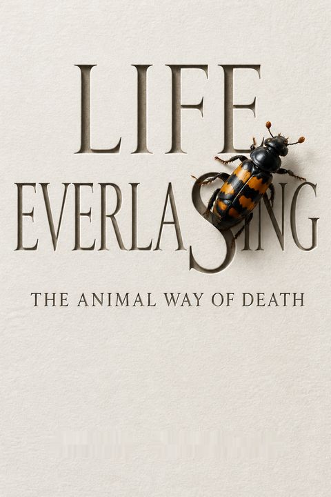 Life Everlasting by Bernd Heinrich