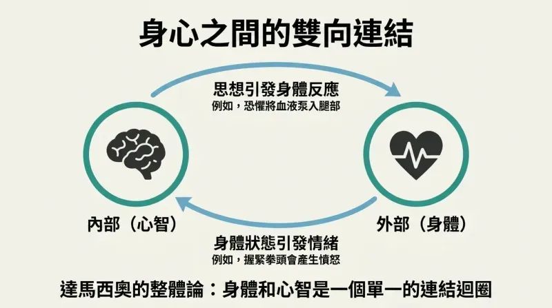 A circular feedback loop diagram showing how internal mind states produce physical bodily reactions, and physical states recursively trigger internal emotions.