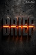 Brief