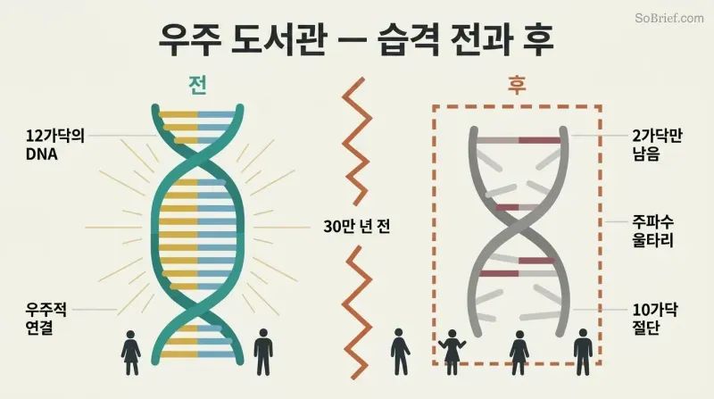 Split panel showing a radiant twelve-strand DNA helix on the left reduced to a dim two-strand helix on the right, divided by a jagged barrier representing the 300,000-year-old seizure of Earth.