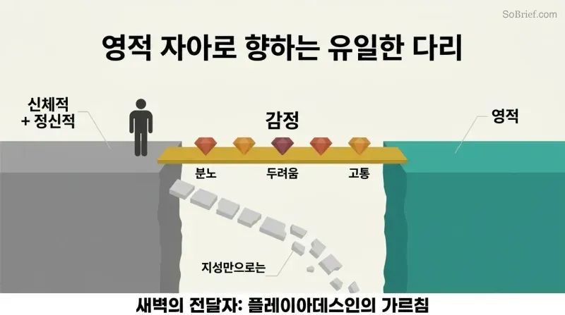 Two platforms separated by a gap, connected by a solid bridge labeled emotions with gemstone shapes, while a broken path labeled intellect alone crumbles into the void below.