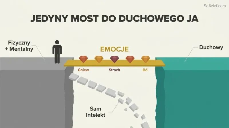 Two platforms separated by a gap, connected by a solid bridge labeled emotions with gemstone shapes, while a broken path labeled intellect alone crumbles into the void below.