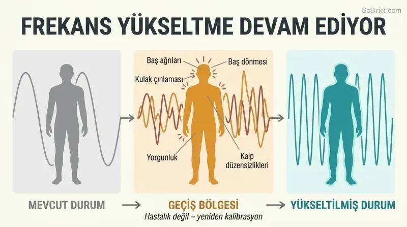 Three-phase transformation showing a human silhouette progressing from low-frequency waves through a symptom transition zone to a high-frequency upgraded state.