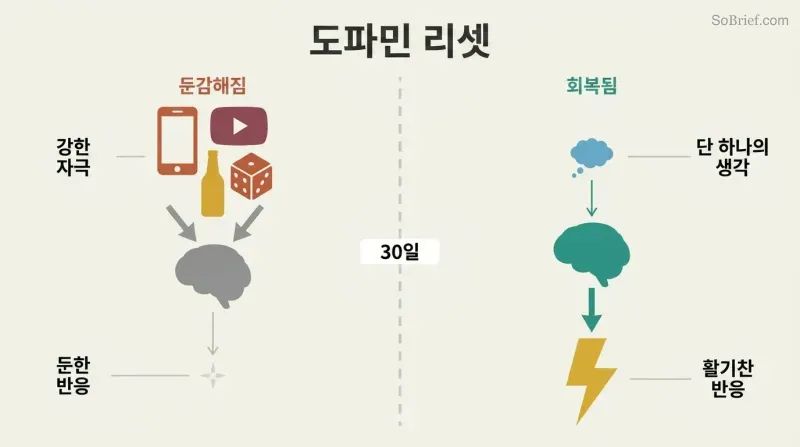 Split panel comparing desensitized and restored states, where heavy stimulation produces weak response on the left, but a single thought produces an electric response on the right after a thirty-day fast.