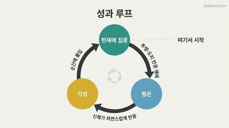 Three states — presence, calm, and arousal — arranged in a triangular clockwise cycle, each reinforcing the next through labeled causal arrows.