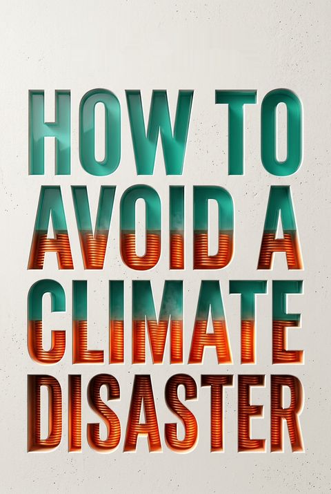 How to Avoid a Climate Disaster