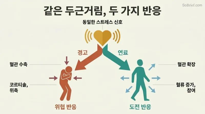 Fork diagram showing a racing heart diverging into a threat response with constriction and withdrawal versus a challenge response with energy and engagement.