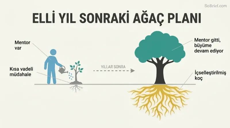 Before-and-after transformation showing a mentor planting a small sapling that grows into a large self-sustaining tree with deep visible roots representing internalized guidance.