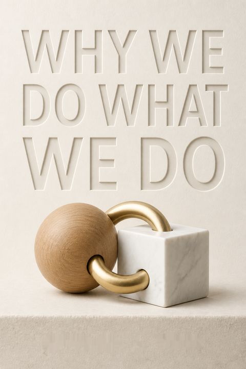 Why We Do What We Do by Edward L. Deci