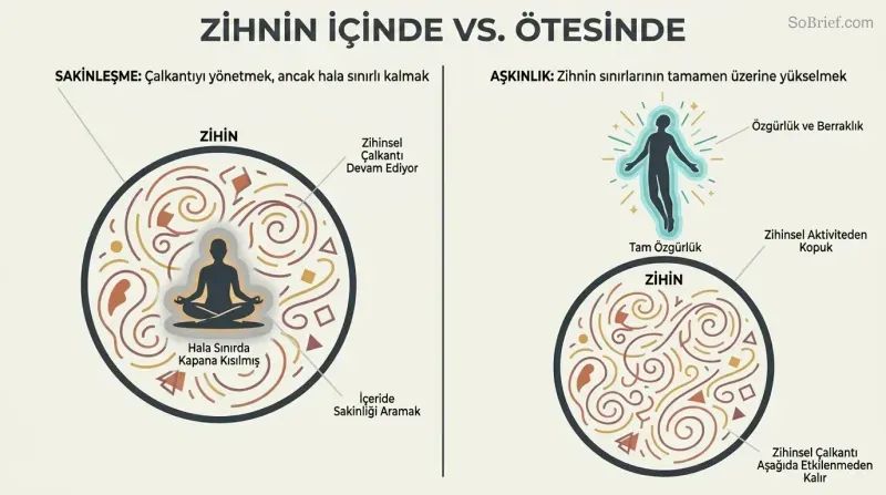 Split panel showing a figure sitting inside a circle representing the mind on the left versus a figure risen above and free of the same circle on the right.
