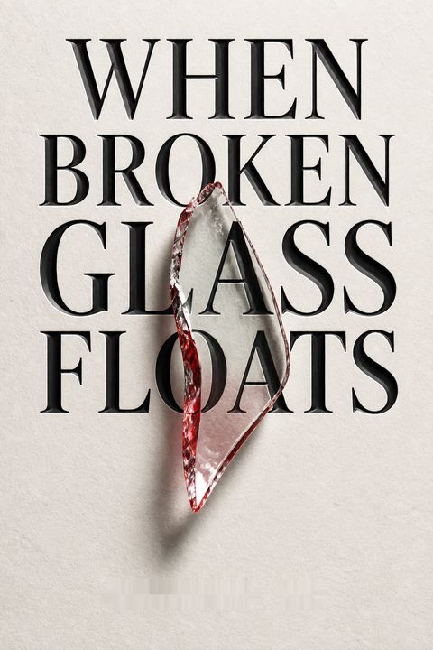 When Broken Glass Floats by Chanrithy Him