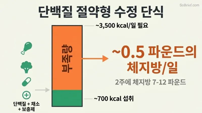 Proportion diagram showing a narrow bar of 700 calories consumed against a tall bar of 3,500 calories needed, with the massive gap representing daily fat loss of half a pound.