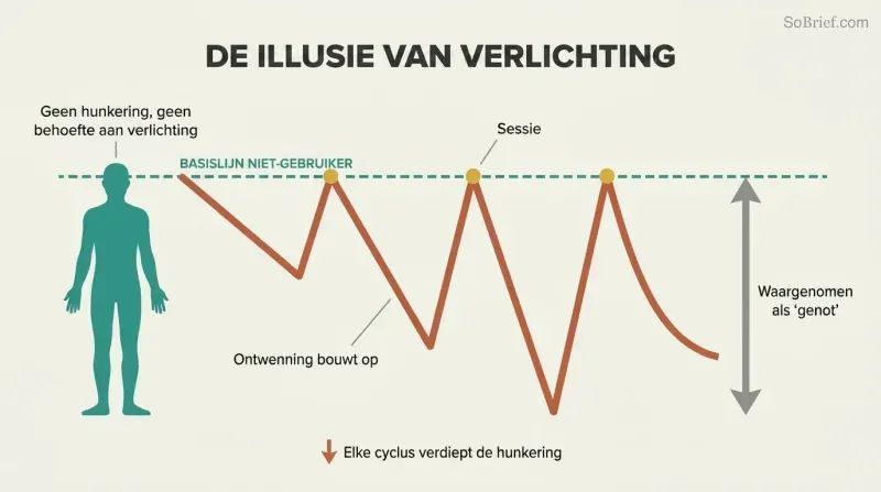 Sawtooth wave shows each session returning users to the non-user's constant baseline, with withdrawal valleys deepening over each cycle.
