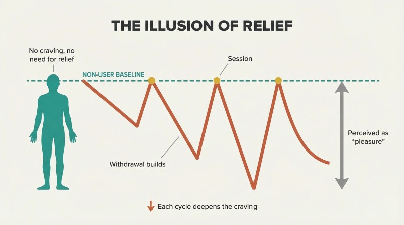 Sawtooth wave shows each session returning users to the non-user's constant baseline, with withdrawal valleys deepening over each cycle.