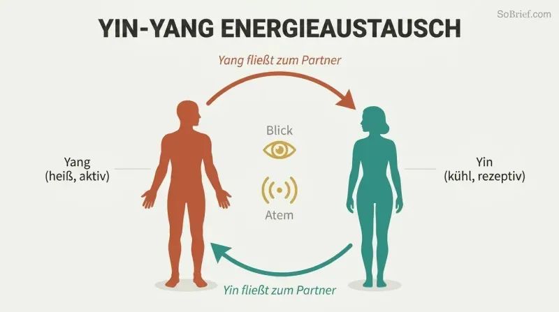 Two facing silhouettes connected by a circular loop of warm yang energy flowing one direction and cool yin energy flowing the other, forming a complete circuit.