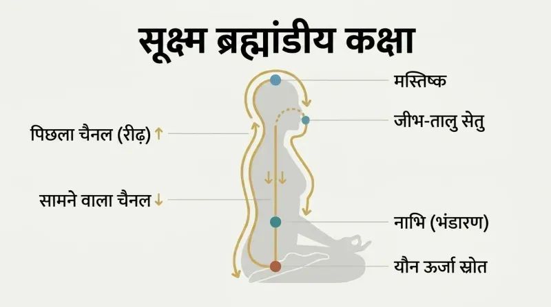 Circular energy pathway traced over a human silhouette in profile, flowing up the spine to the brain and down the front to the navel in a continuous loop.