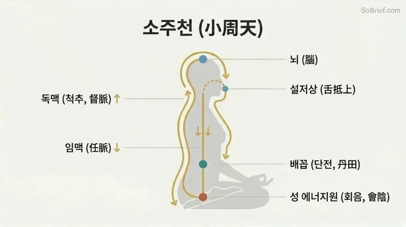 Circular energy pathway traced over a human silhouette in profile, flowing up the spine to the brain and down the front to the navel in a continuous loop.