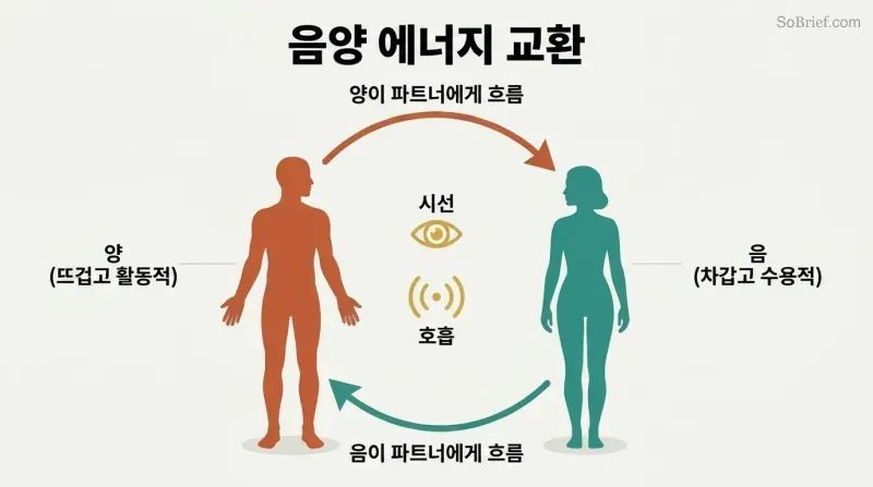 Two facing silhouettes connected by a circular loop of warm yang energy flowing one direction and cool yin energy flowing the other, forming a complete circuit.