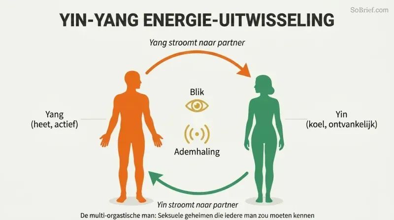 Two facing silhouettes connected by a circular loop of warm yang energy flowing one direction and cool yin energy flowing the other, forming a complete circuit.
