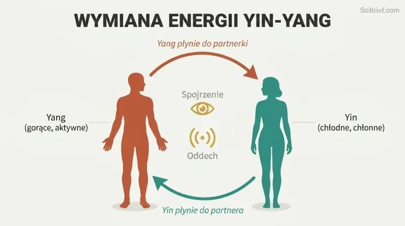 Two facing silhouettes connected by a circular loop of warm yang energy flowing one direction and cool yin energy flowing the other, forming a complete circuit.