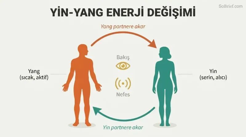Two facing silhouettes connected by a circular loop of warm yang energy flowing one direction and cool yin energy flowing the other, forming a complete circuit.