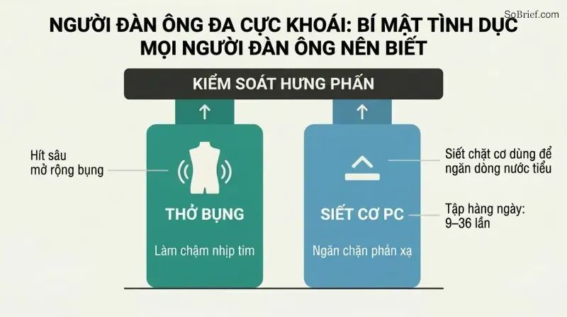 Two pillars labeled belly breathing and PC squeezes supporting a platform labeled arousal control, showing these as foundational skills.