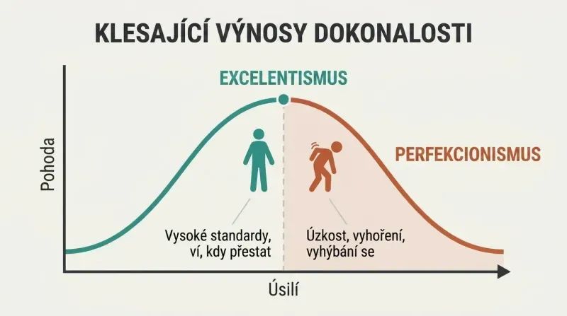 Curve rising to a peak labeled Excellentism then declining into a Perfectionism zone, showing how more effort past the optimum reduces well-being.