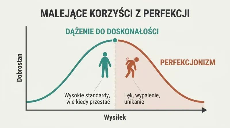 Curve rising to a peak labeled Excellentism then declining into a Perfectionism zone, showing how more effort past the optimum reduces well-being.