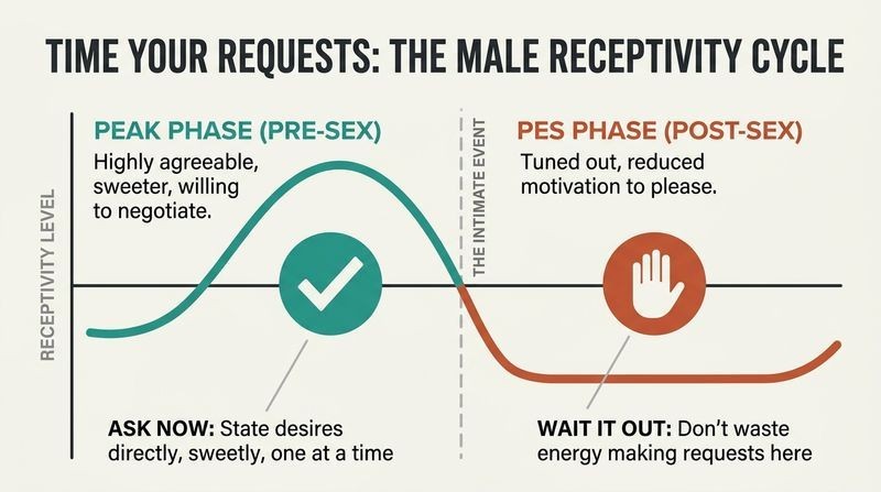 Curve graph showing high male receptivity during the pre-sex PEAK phase and low receptivity during the post-sex PES phase.