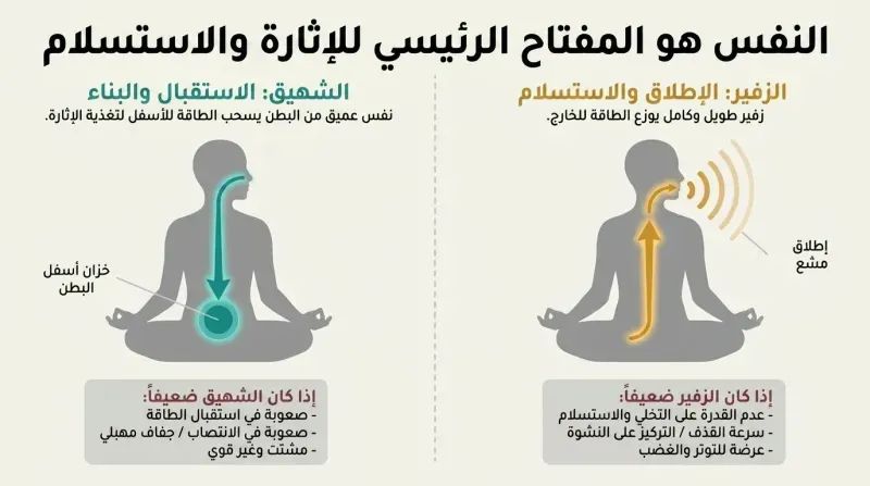 Split panel diagram comparing how deep inhalation draws energy down to build arousal, while long exhalation releases and circulates that energy outward.