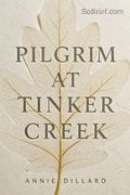 Pilgrim at Tinker Creek
