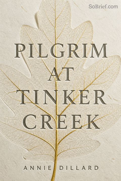 Pilgrim at Tinker Creek