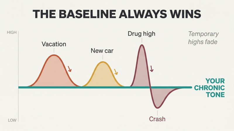 Waveform chart showing three temporary emotional spikes from vacation, new car, and a drug high all decaying back to a persistent horizontal baseline level over time.