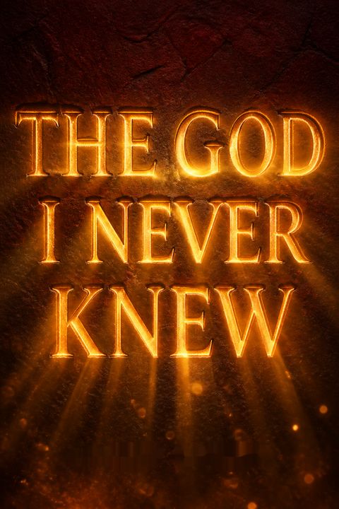The God I Never Knew by Robert  Morris