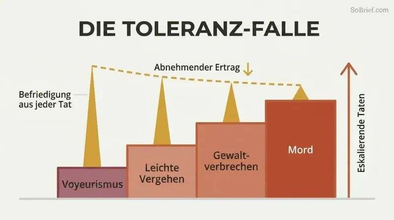 Ascending staircase of four escalating stages paired with progressively shorter satisfaction spikes above each step, showing how tolerance drives criminal escalation.