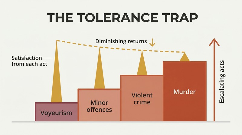 Ascending staircase of four escalating stages paired with progressively shorter satisfaction spikes above each step, showing how tolerance drives criminal escalation.