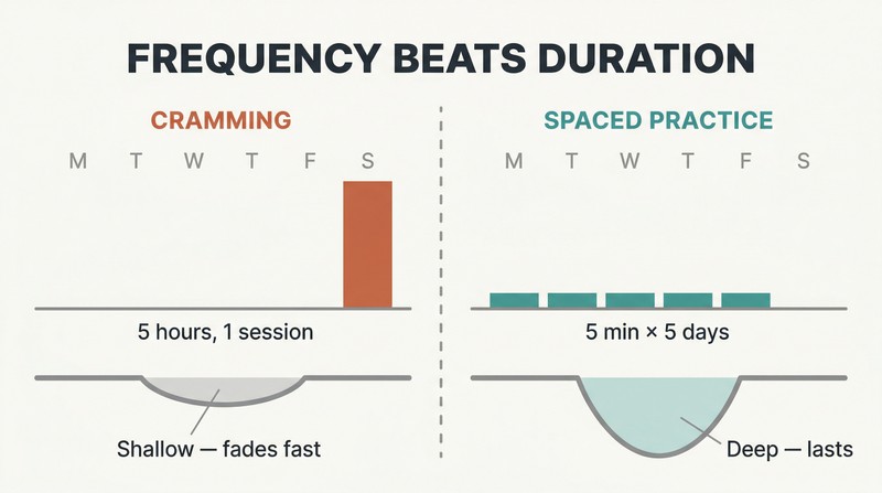Split comparison showing one massive Saturday study block producing a shallow memory path versus small daily blocks Monday through Friday producing a deep, lasting memory path.
