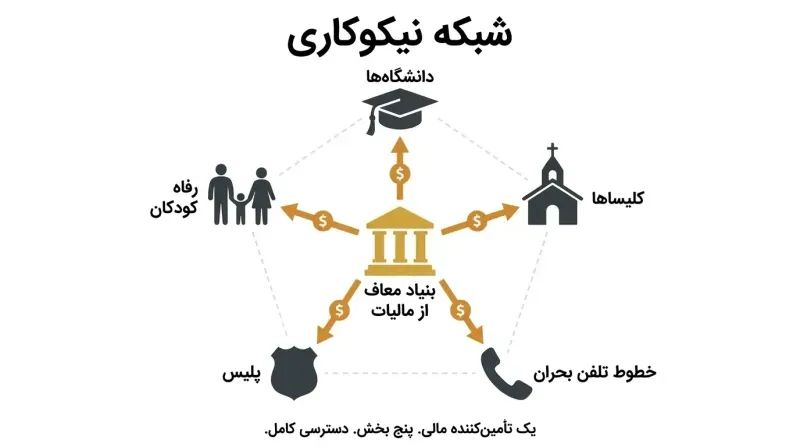 A central gold foundation symbol connected by funding lines to five surrounding institutions — universities, churches, crisis hotlines, police, and child welfare — revealing one source behind all.
