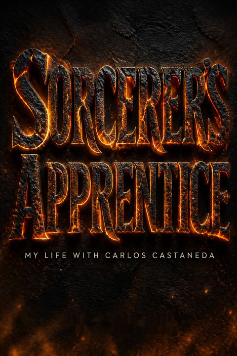 Sorcerer's Apprentice by Amy Wallace