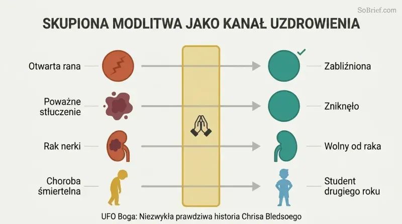 Section 9 - UFO Boga