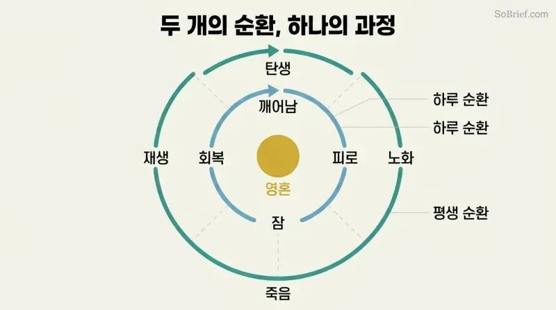 Two concentric circular loops showing the daily sleep-wake cycle inside the larger death-rebirth cycle, with a persistent soul at the shared center.