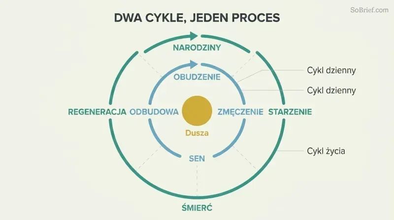 Two concentric circular loops showing the daily sleep-wake cycle inside the larger death-rebirth cycle, with a persistent soul at the shared center.