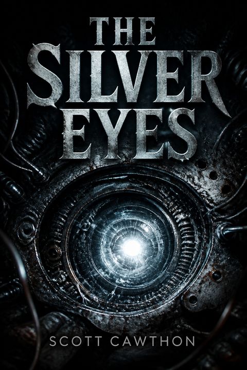 The Silver Eyes
