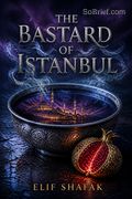 The Bastard of Istanbul