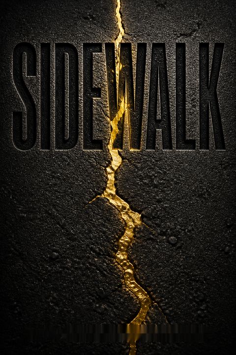 Sidewalk by Mitchell Duneier