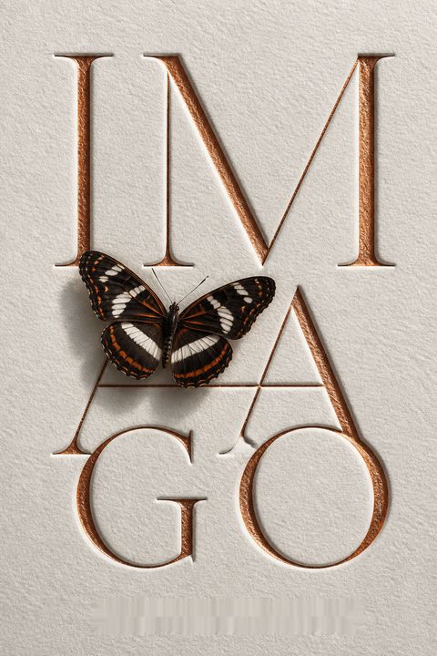 Imago by N.R. Walker