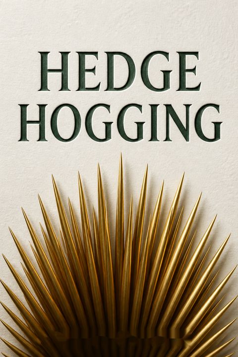 Hedgehogging by Barton Biggs