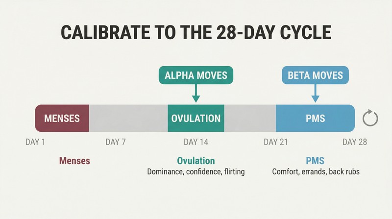 Horizontal 28-day timeline bar with color-coded phases showing Alpha approach mapped to ovulation and Beta approach mapped to PMS.